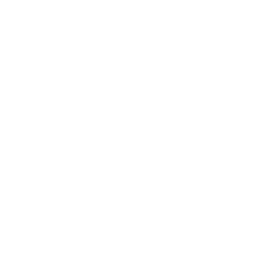 Codentis Logo