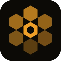 HiveTerm Logo