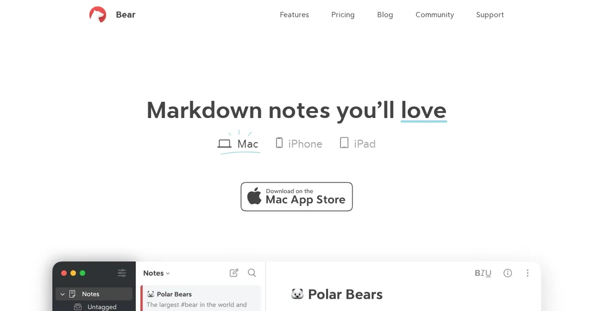 Screenshot von Bear AI