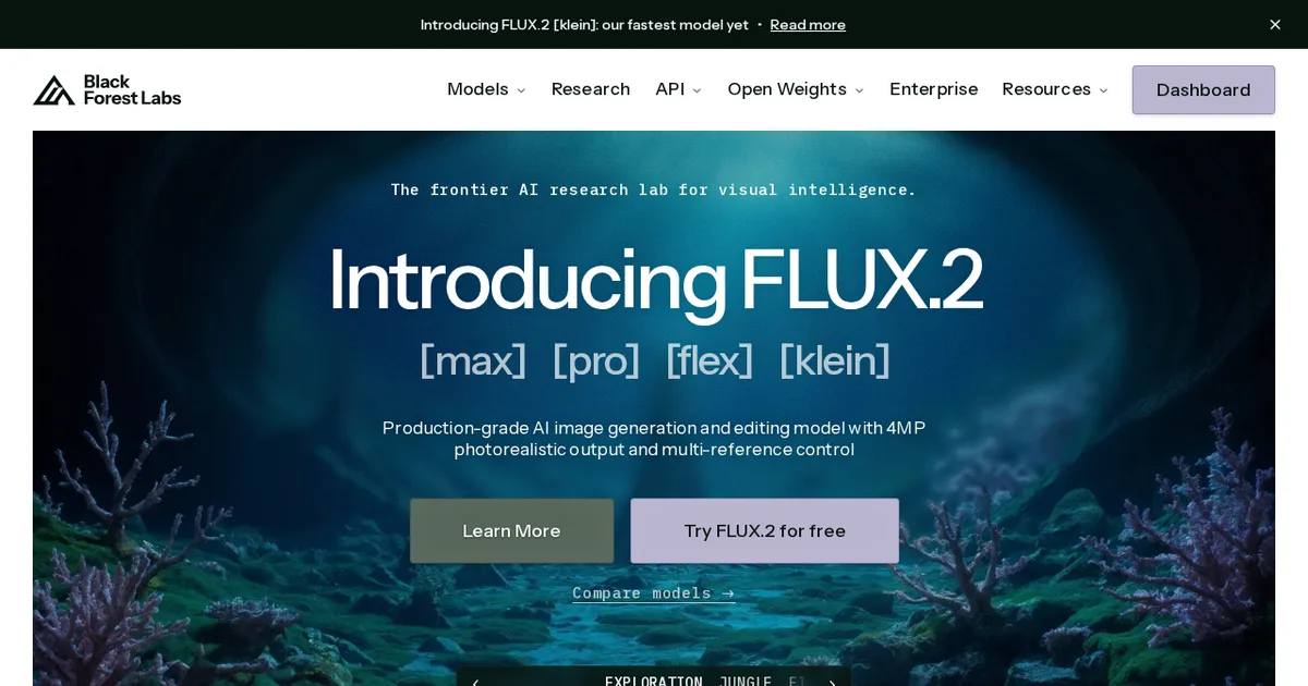 Screenshot von Flux Kontext